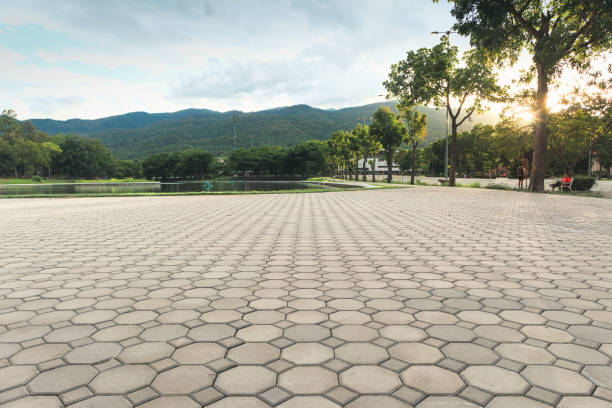 Best Local Driveway Pavers  in Kekoskee, WI